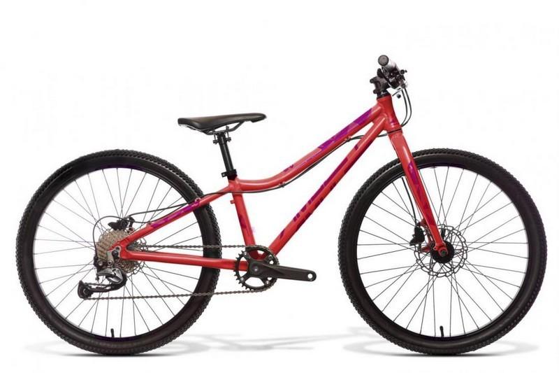 Amulet 24 Youngster hot coral shiny/dark violet shiny